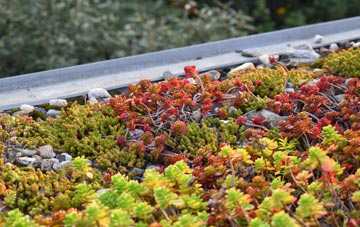 the cost of Baverstock green roof installation