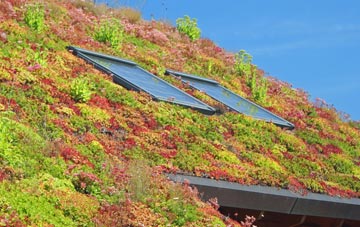 Baverstock living roof systems