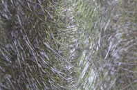 Baverstock fibreglass roof work